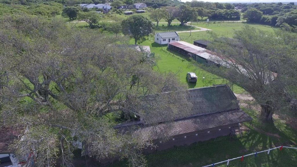 Bathurst Agricultural Society aerial view