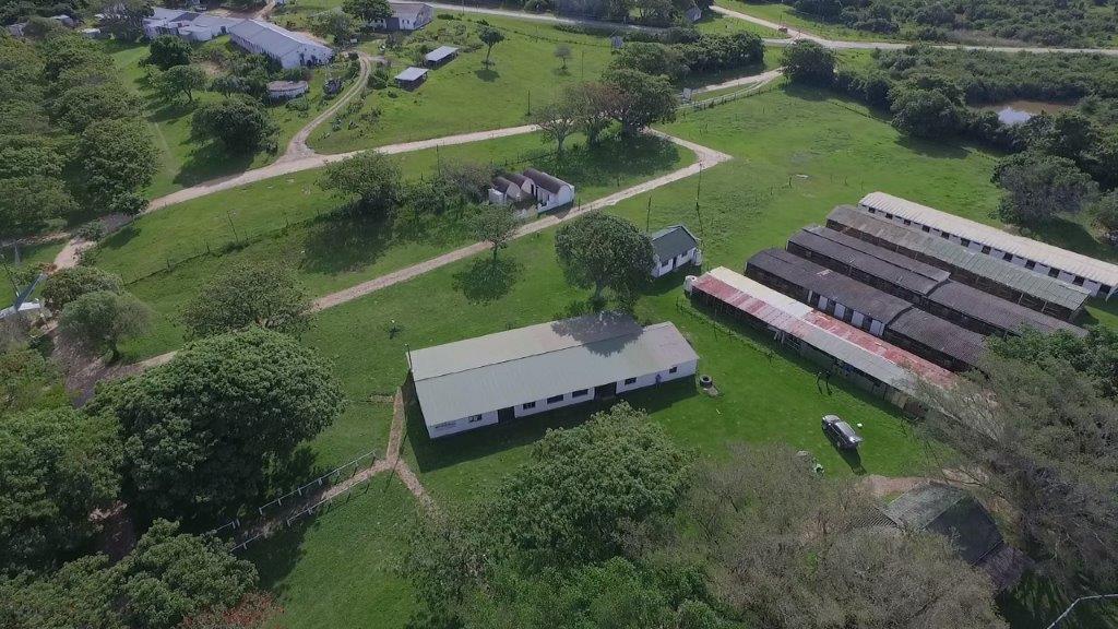 Bathurst Agricultural Society aerial view